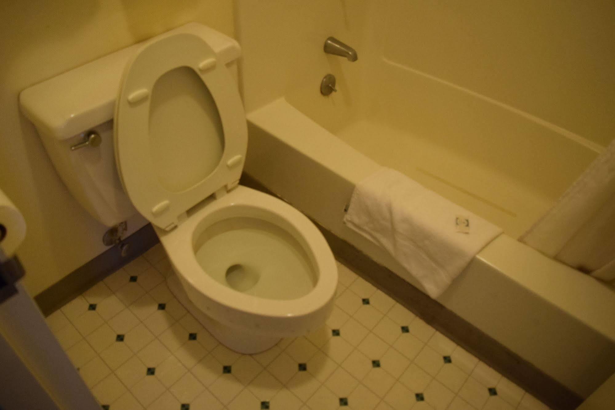 Traveler Inn קרייג מראה חיצוני תמונה